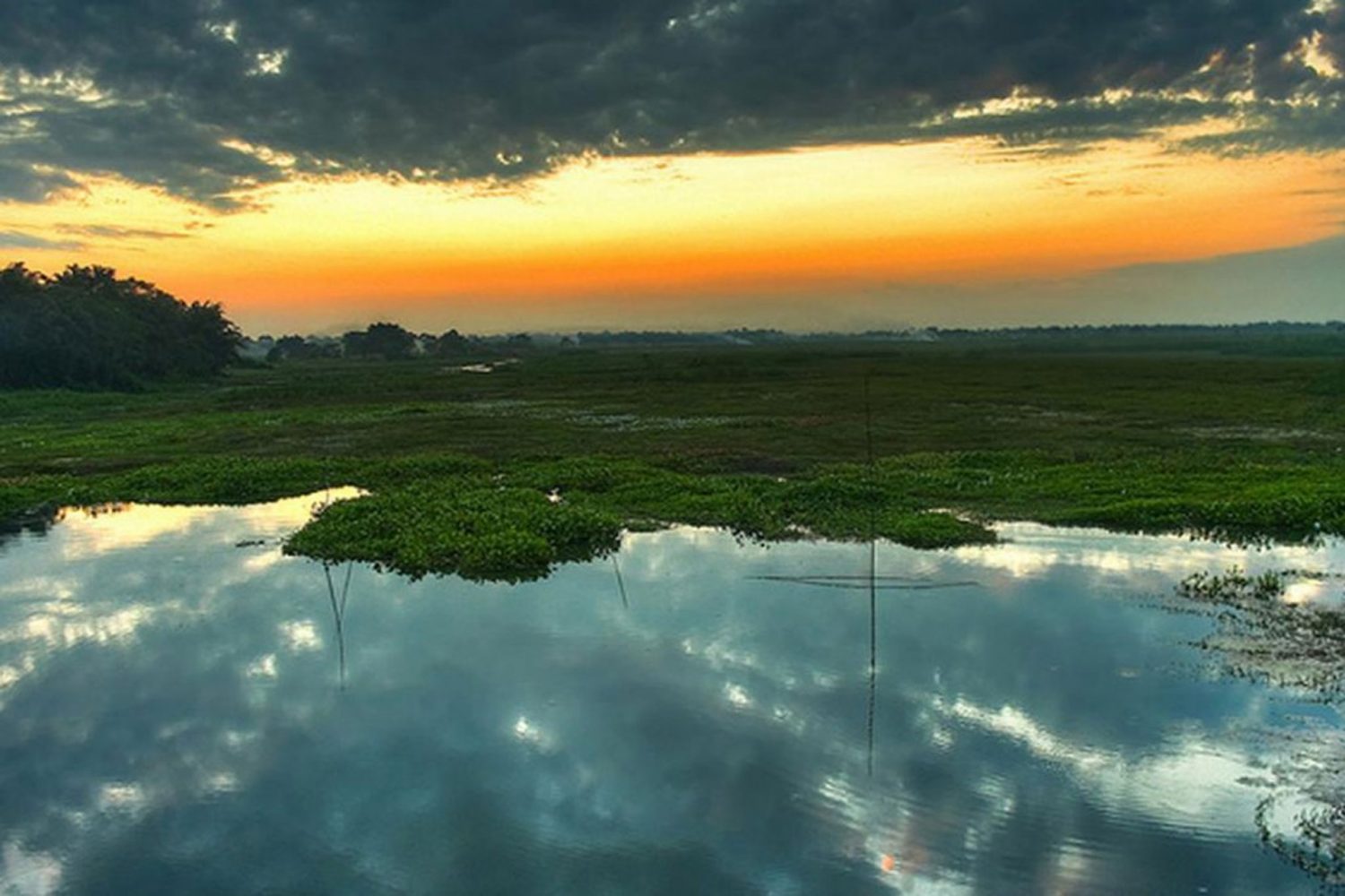 Landscape Beauty Of Assam