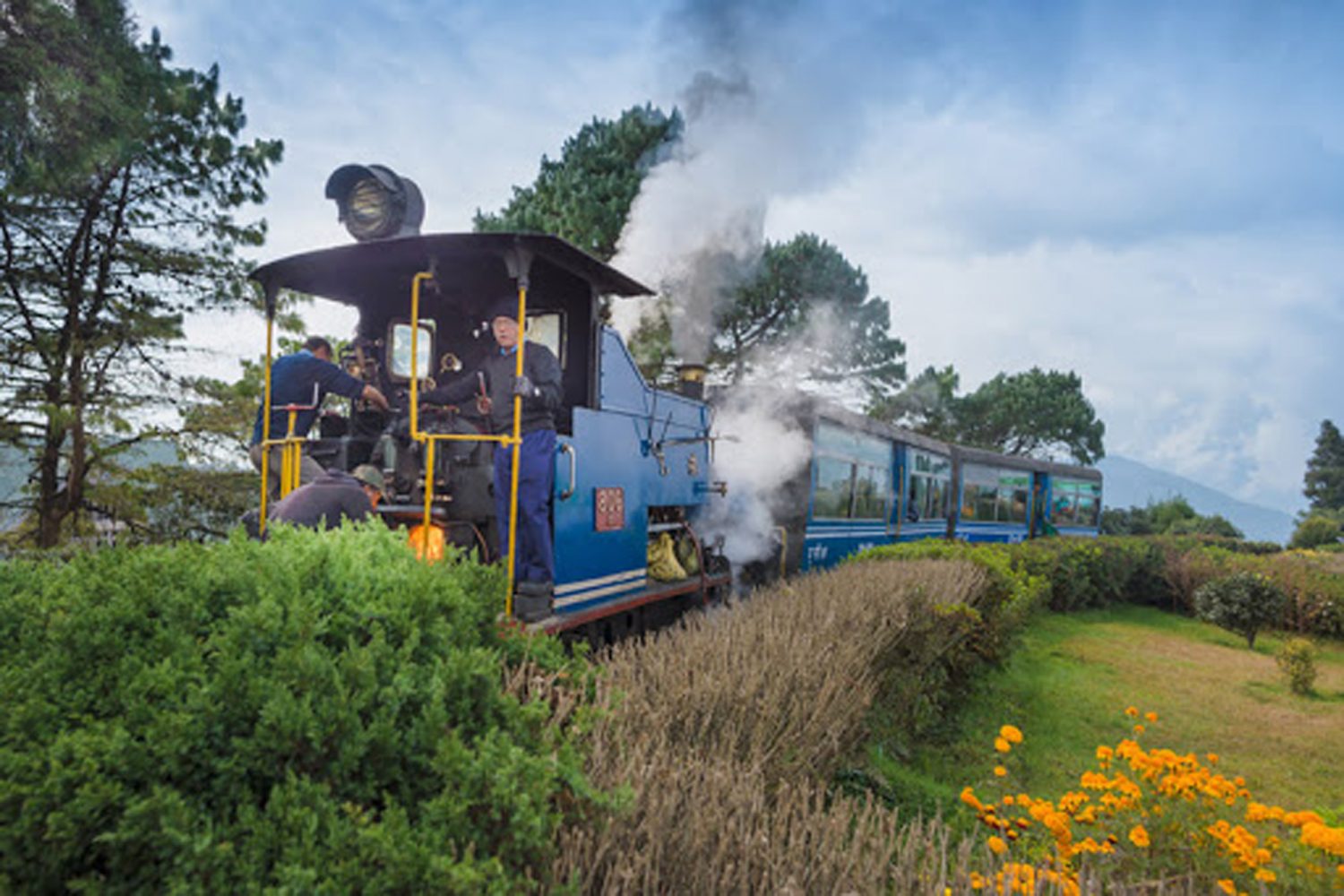 Darjeeling Troy Train Icon