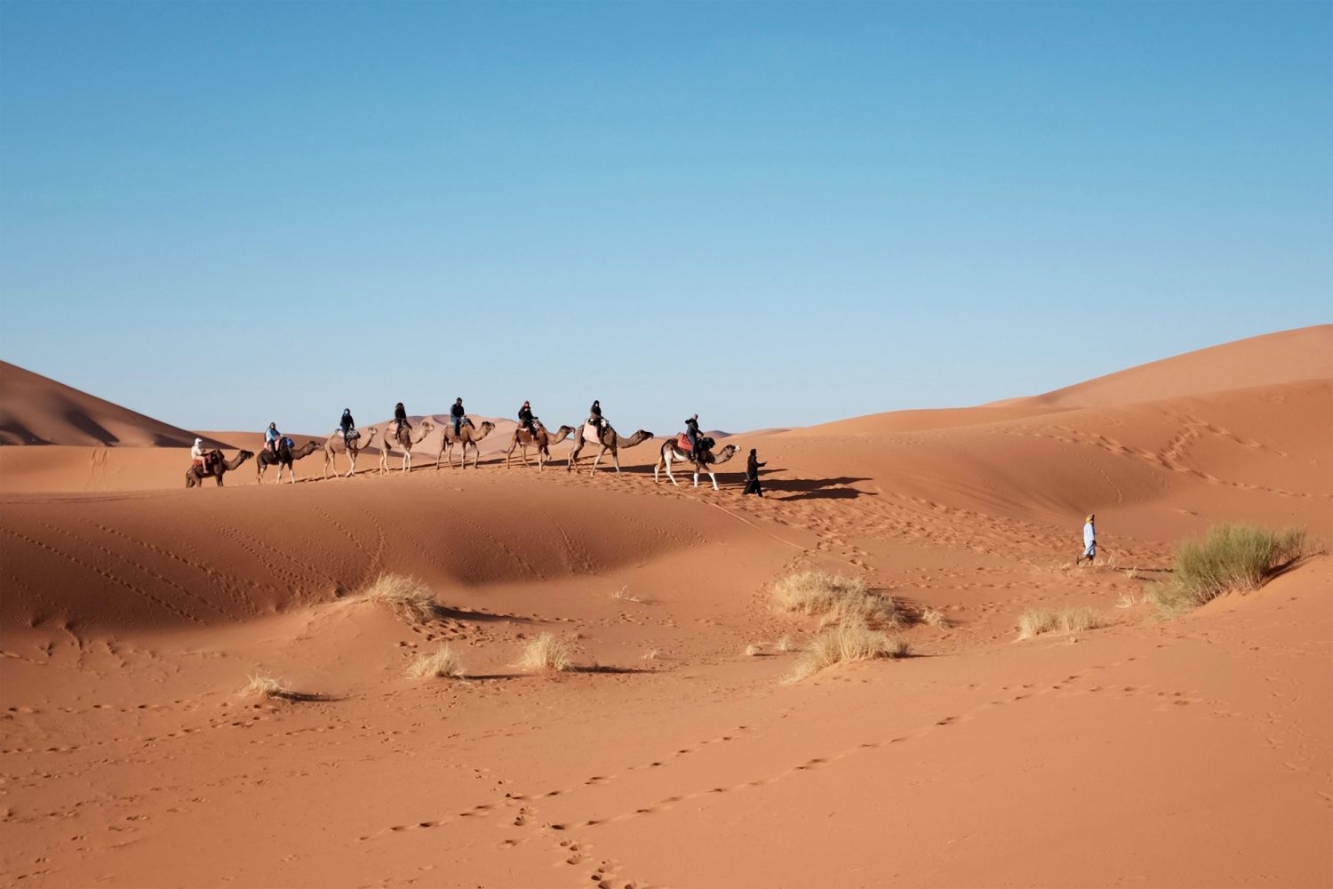 Desert Egypt