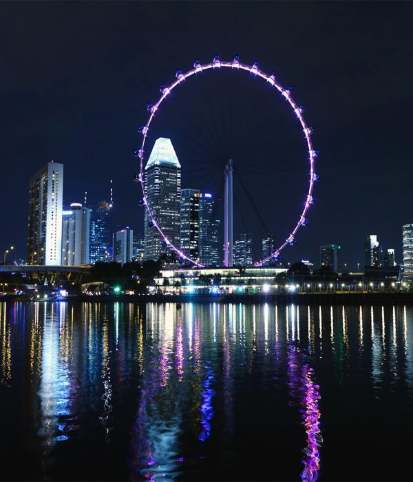 Singapore Cycle Night View